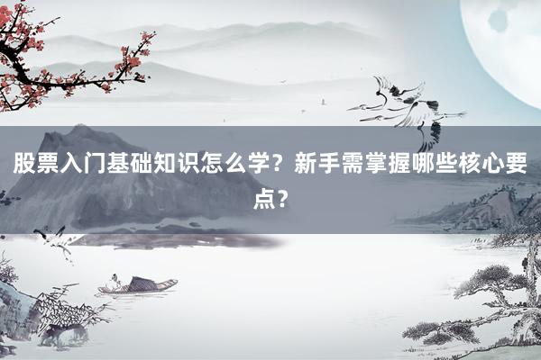 股票入门基础知识怎么学？新手需掌握哪些核心要点？