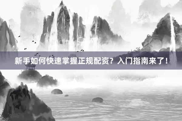 新手如何快速掌握正规配资？入门指南来了！