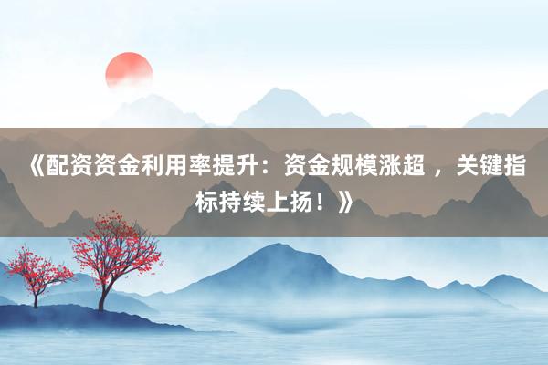 《配资资金利用率提升：资金规模涨超 ，关键指标持续上扬！》