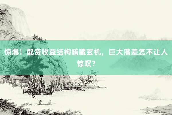 惊爆！配资收益结构暗藏玄机，巨大落差怎不让人惊叹？