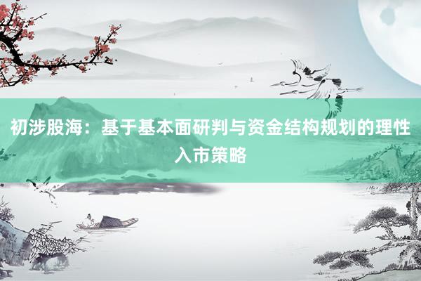 初涉股海：基于基本面研判与资金结构规划的理性入市策略