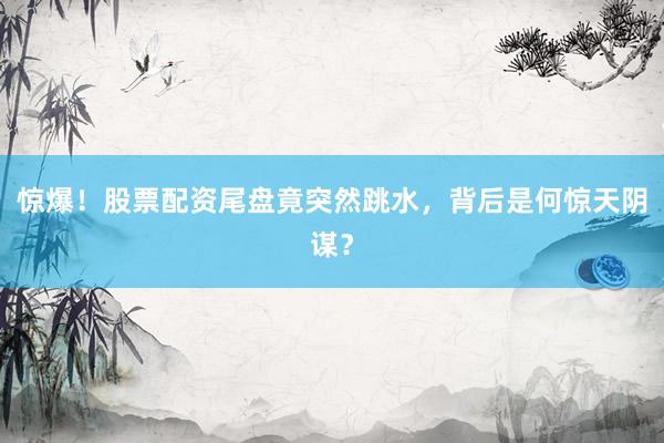 惊爆！股票配资尾盘竟突然跳水，背后是何惊天阴谋？