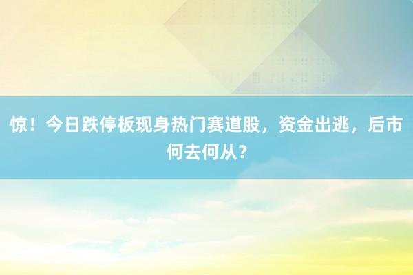 惊！今日跌停板现身热门赛道股，资金出逃，后市何去何从？
