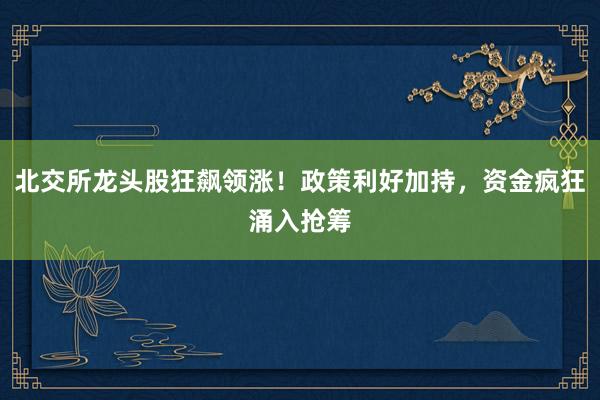 北交所龙头股狂飙领涨！政策利好加持，资金疯狂涌入抢筹