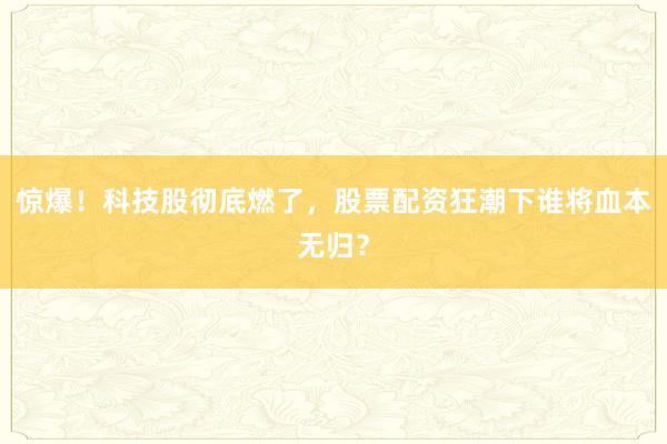 惊爆！科技股彻底燃了，股票配资狂潮下谁将血本无归？