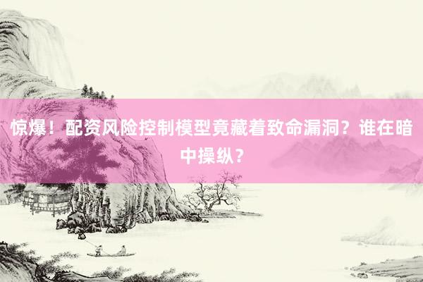 惊爆！配资风险控制模型竟藏着致命漏洞？谁在暗中操纵？