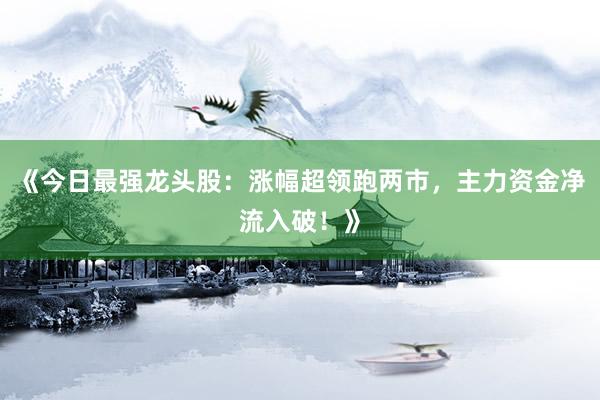 《今日最强龙头股：涨幅超领跑两市，主力资金净流入破！》