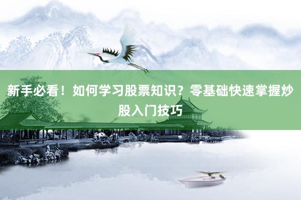 新手必看！如何学习股票知识？零基础快速掌握炒股入门技巧