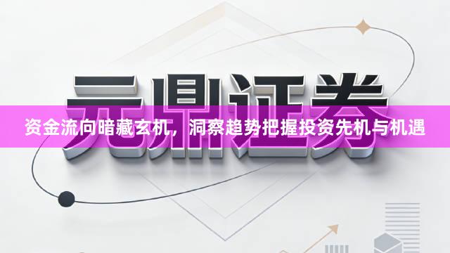 资金流向暗藏玄机，洞察趋势把握投资先机与机遇