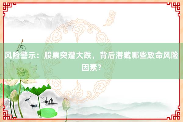 风险警示：股票突遭大跌，背后潜藏哪些致命风险因素？