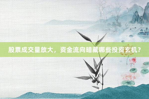 股票成交量放大，资金流向暗藏哪些投资玄机？