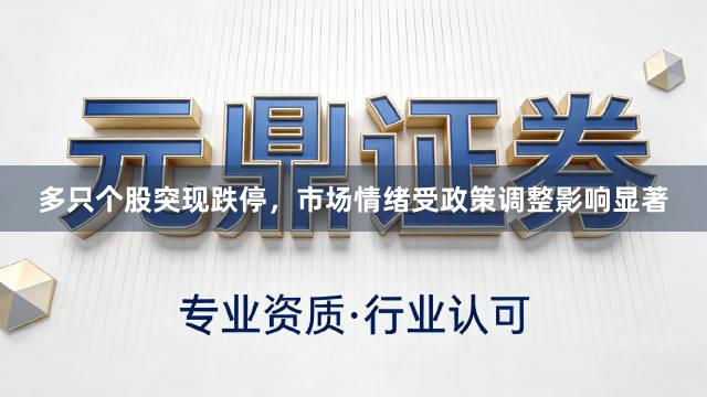 多只个股突现跌停，市场情绪受政策调整影响显著