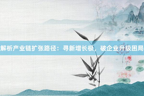 解析产业链扩张路径：寻新增长极，破企业升级困局