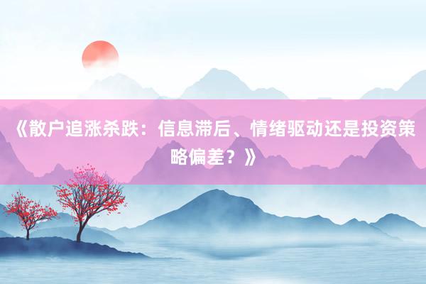 《散户追涨杀跌：信息滞后、情绪驱动还是投资策略偏差？》