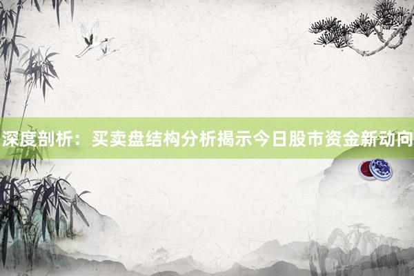 深度剖析：买卖盘结构分析揭示今日股市资金新动向